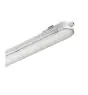 Philips LED Feuchtraumleuchte CoreLine WT120C 29W 3400lm - 840 Kaltweiß | 150cm - Dali Dimmbar